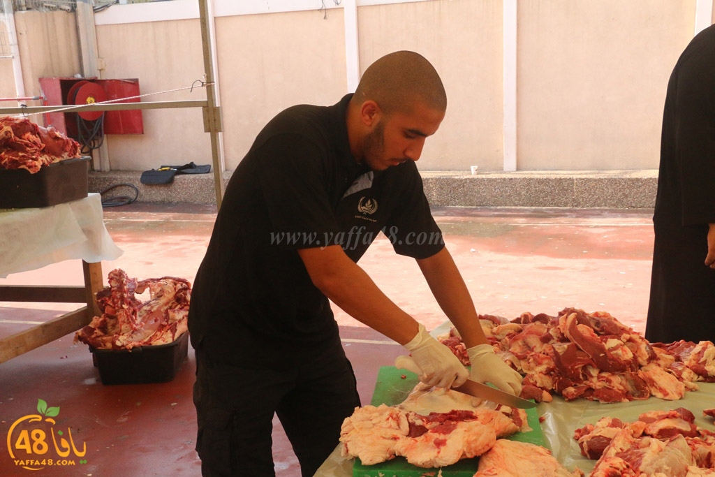 ada7y forthei (28).JPG